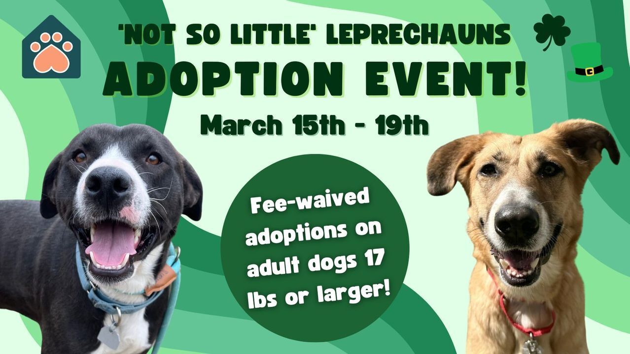 McKamey Animal Center waiving adoption fees through March 19